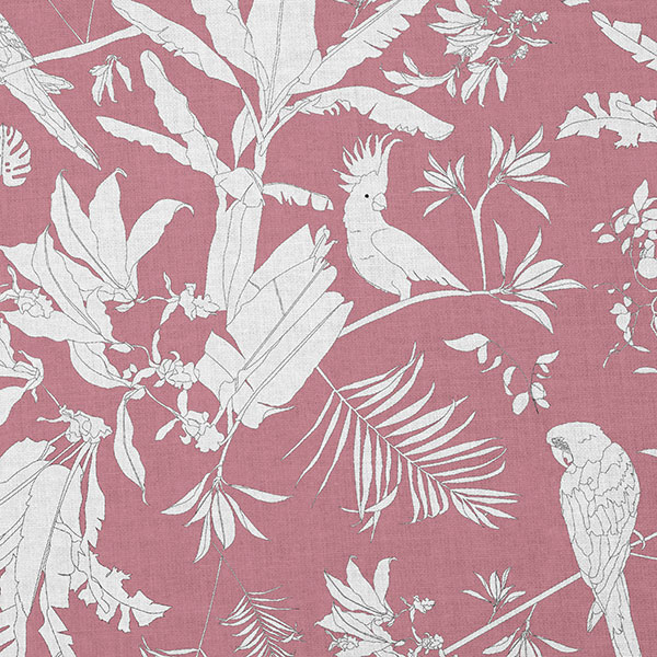 Toile
